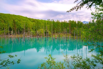 Scenic view of lake against sky
