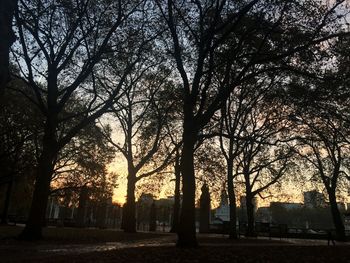 Silhouette trees against sky during sunset