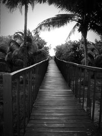 Wooden footbridge leading to palm trees