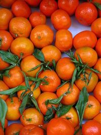 Full frame shot of red chili peppers for sale