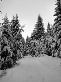 Scenic view of snow covered land against clear sky