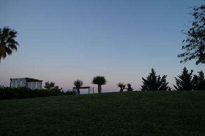 Trees on field against clear sky