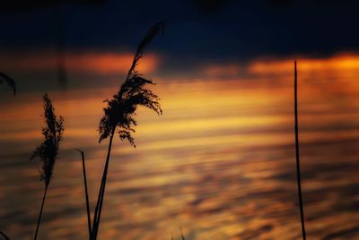 Scenic view of sunset sky