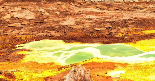 High angle view of water flowing through rocks