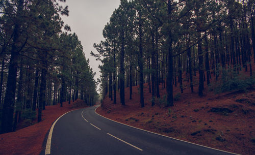 Road amidst trees in forest against sky