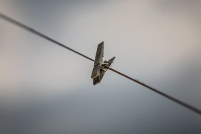 Low angle view of a bird on cable against sky