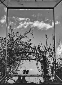 black and white