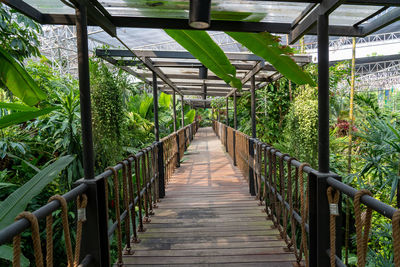 Rear view of man walking on footbridge