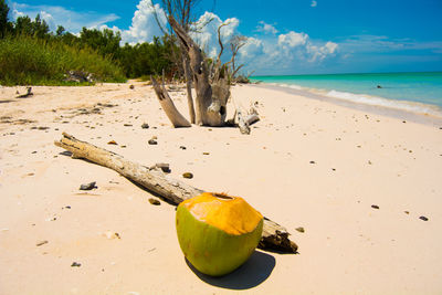 Scenic view of beach against sky