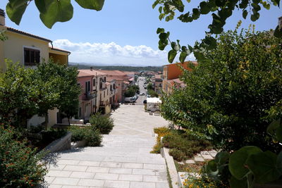 Footpath amidst buildings and trees against sky