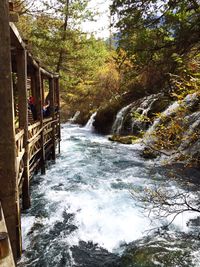 River flowing through forest