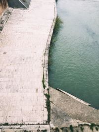 Trees in water