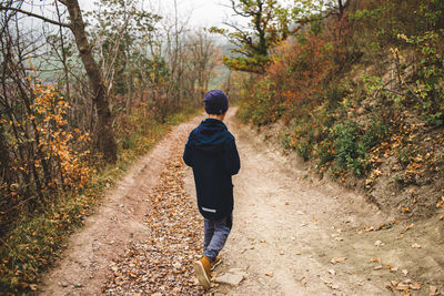 Rear view of boy walking on footpath in forest