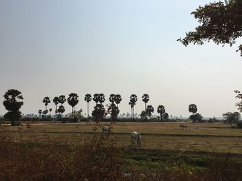 Scenic view of landscape against clear blue sky