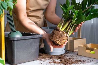 Midsection of woman holding potted plant