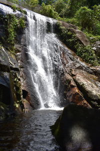 Scenic view of waterfall in forest