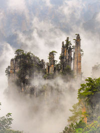 Panoramic view of trees and building against sky