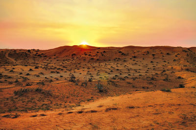 Scenic view of desert during sunset