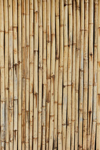 Full frame shot of bamboo on wood