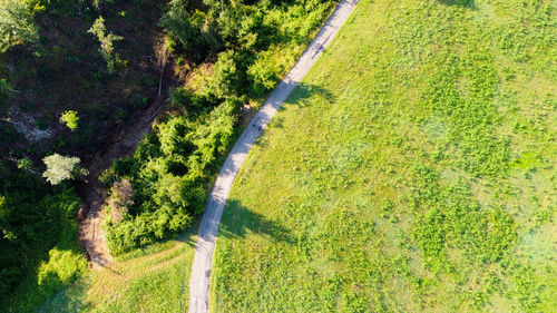 High angle view of road amidst trees