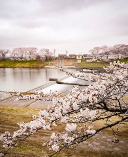Scenic view of river against cloudy sky
