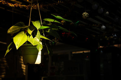 Close up of electric lamp