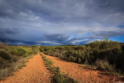 Scenic view of agricultural field against sky