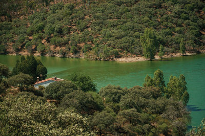 Scenic view of forest by sea