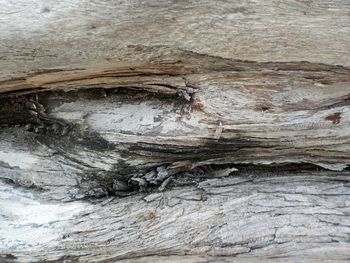 Full frame shot of weathered wall