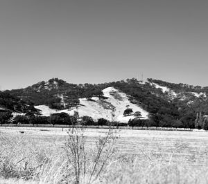 Scenic view of landscape against clear sky