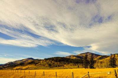 Scenic view of field against sky