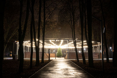 Illuminated street lights in park at night