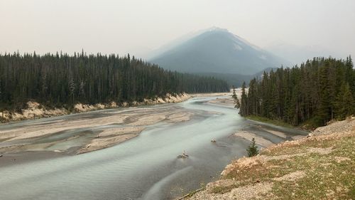 Pale blue river surrrounded by forest and foggy mountains