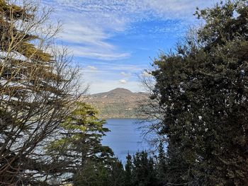 Scenic view of lake by trees against sky