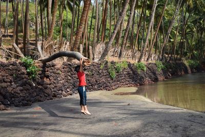 Full length of boy standing by tree in forest