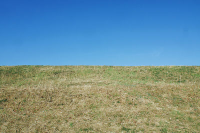 Scenic view of field against clear blue sky