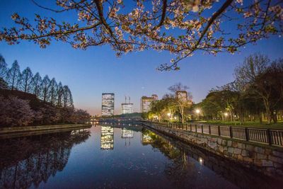 Reflection of buildings in water