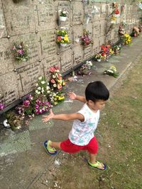 High angle view of woman standing by flowering plants