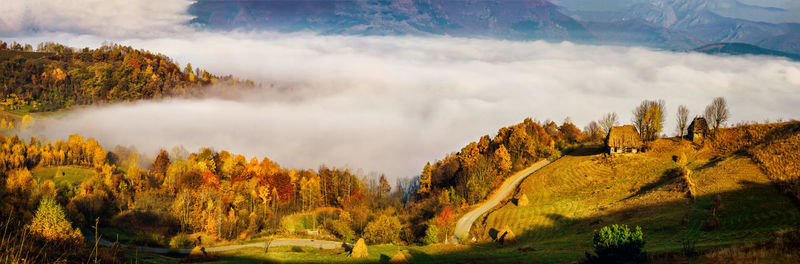 Panoramic view of trees on land against sky