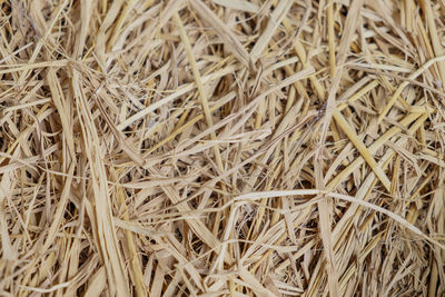 Full frame shot of hay bales