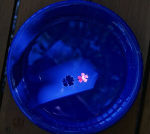 Close-up high angle view of blue table