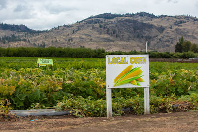 Information sign on field by mountains