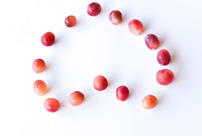 High angle view of berries against white background