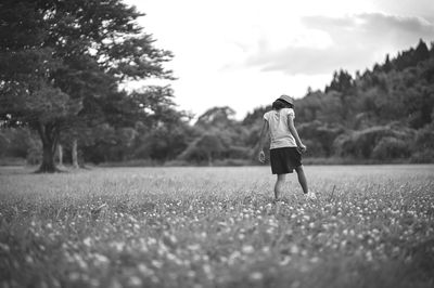 Looking for happiness in the white clover meadow