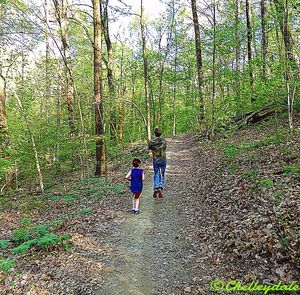 Rear view of woman walking on footpath in forest