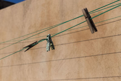 Low angle view of clothespins on clothesline