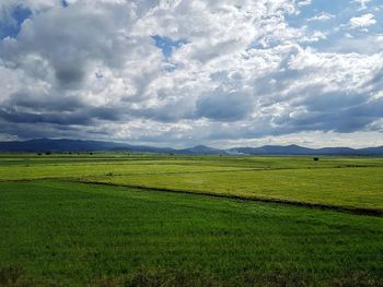 Scenic view of field against sky