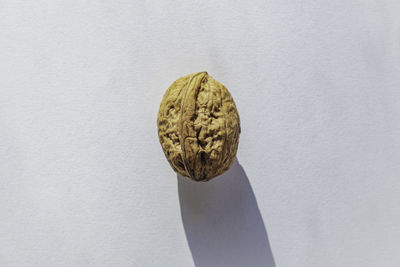 Close-up of hand holding bread against white background