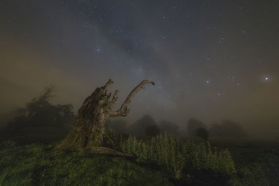 Scenic view of grassy field against sky at night