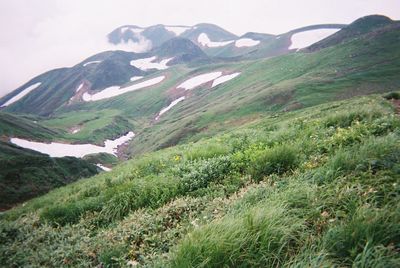 mountain